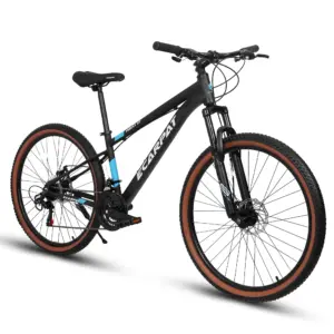 27 inch Men's Mountain Bike, 21 Speed Aluminium Adult Bicycle with Disc Brakes & Suspension,Black