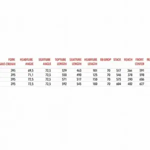 Alternative view of 3T Exploro Primo Gravel Frameset