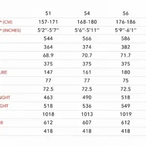 Alternative view of 3T Racemax Italia Frameset