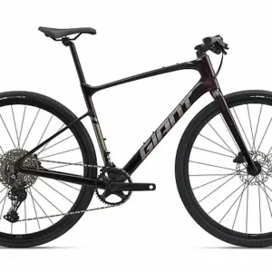 Giant 2025 Fastroad AR Advanced 2 Bike