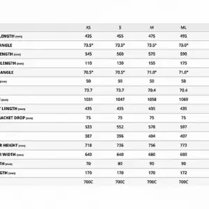 Alternative view of Giant 2025 Fastroad AR Advanced 2 Bike