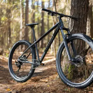 Alternative view of Nishiki Adult 29 in. Colorado Comp Mountain Bike